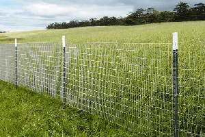 Fencing Wire Exporters