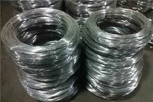 SS Wire Exporters