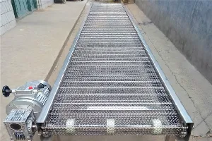 Wire Mesh Conveyor In Telangana